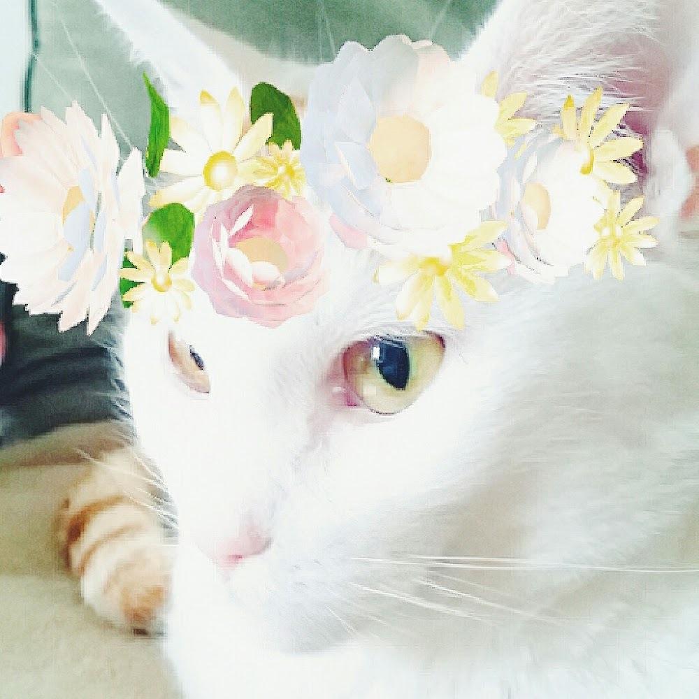 Meet your Posher, Vic